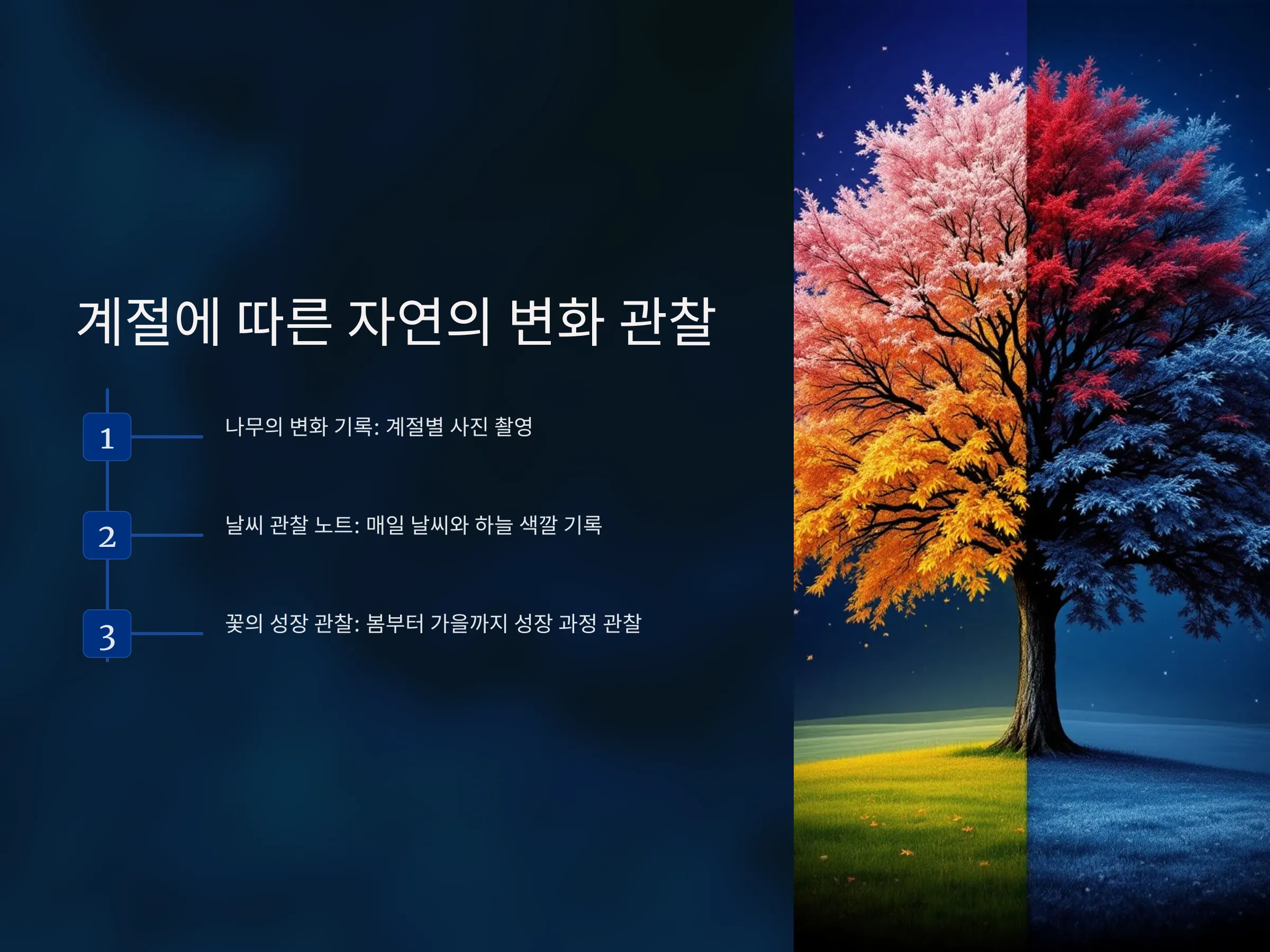 46568a94dd62a4bea1c39cddc1820b8c_1735753